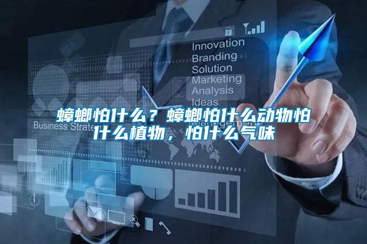 蟑螂怕什么？蟑螂怕什么動物怕什么植物，怕什么氣味