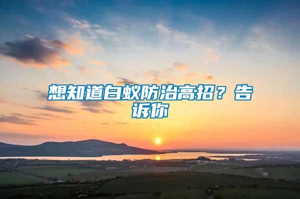 想知道白蟻防治高招？告訴你