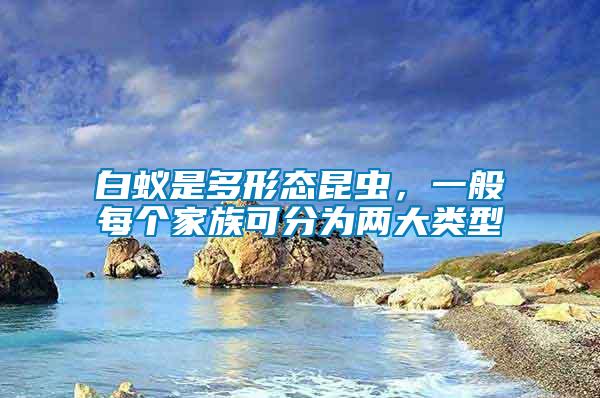 白蟻是多形態(tài)昆蟲(chóng)，一般每個(gè)家族可分為兩大類型