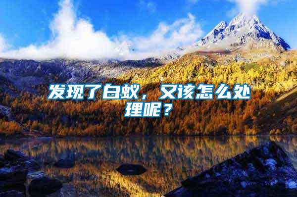 發(fā)現(xiàn)了白蟻，又該怎么處理呢？