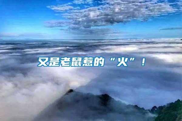 又是老鼠惹的“火”！