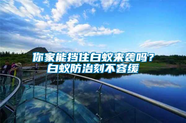 你家能擋住白蟻來襲嗎？白蟻防治刻不容緩
