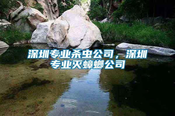 深圳專業(yè)殺蟲公司，深圳專業(yè)滅蟑螂公司