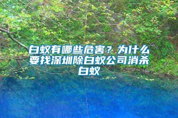 白蟻有哪些危害？為什么要找深圳除白蟻公司消殺白蟻