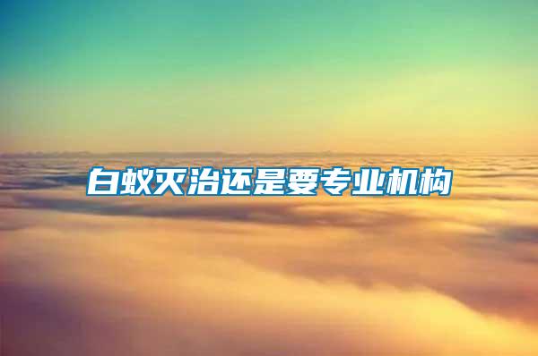 白蟻滅治還是要專業(yè)機構(gòu)