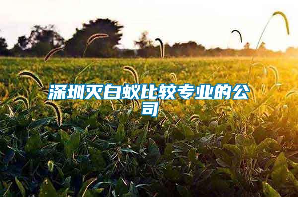 深圳滅白蟻比較專(zhuān)業(yè)的公司