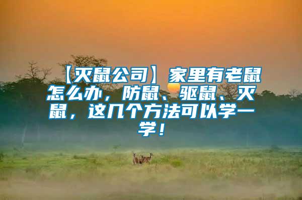 【滅鼠公司】家里有老鼠怎么辦，防鼠、驅鼠、滅鼠，這幾個方法可以學一學！