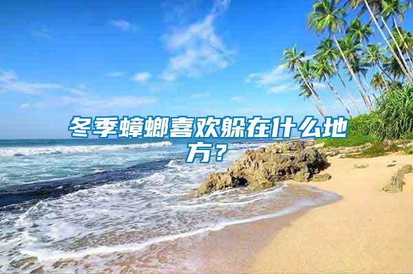 冬季蟑螂喜歡躲在什么地方？