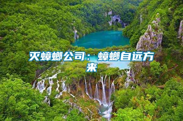 滅蟑螂公司：蟑螂自遠(yuǎn)方來(lái)