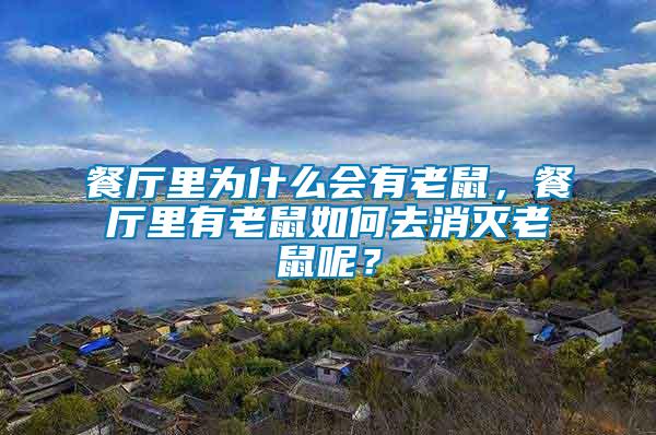 餐廳里為什么會有老鼠，餐廳里有老鼠如何去消滅老鼠呢？