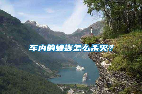 車內的蟑螂怎么殺滅？