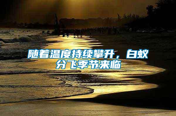 隨著溫度持續攀升，白蟻分飛季節來臨
