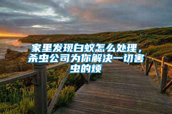 家里發現白蟻怎么處理，殺蟲公司為你解決一切害蟲的煩