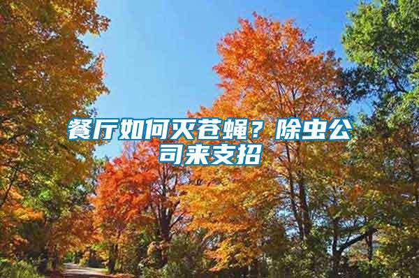 餐廳如何滅蒼蠅？除蟲(chóng)公司來(lái)支招