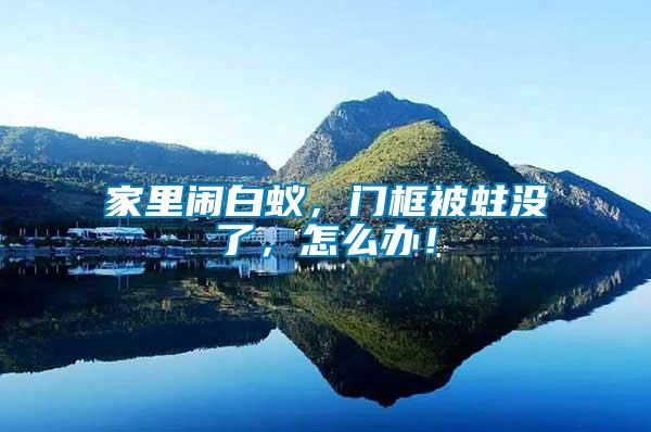 家里鬧白蟻，門(mén)框被蛀沒(méi)了，怎么辦！