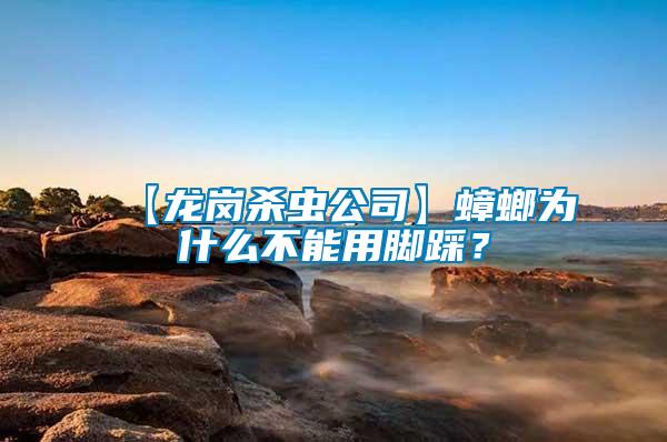 【龍崗殺蟲公司】蟑螂為什么不能用腳踩？