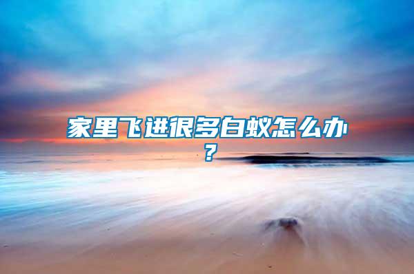 家里飛進很多白蟻怎么辦？