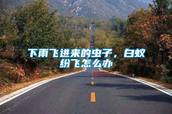下雨飛進(jìn)來(lái)的蟲(chóng)子，白蟻紛飛怎么辦