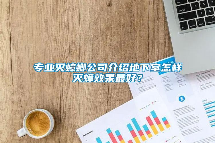 專業滅蟑螂公司介紹地下室怎樣滅蟑效果最好？