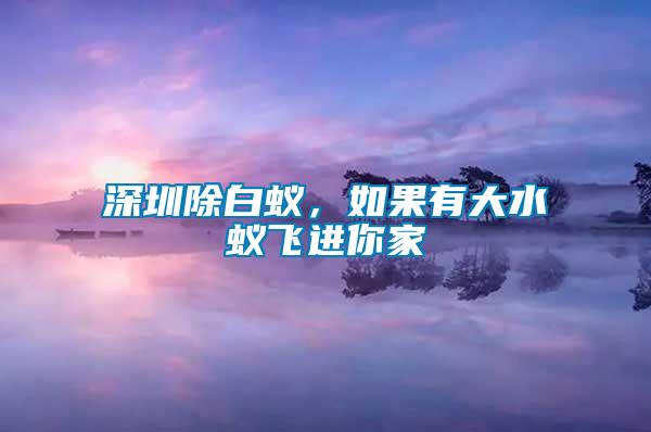 深圳除白蟻，如果有大水蟻飛進(jìn)你家