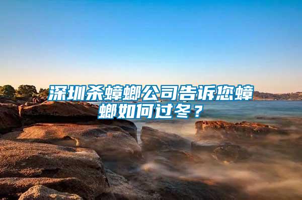 深圳殺蟑螂公司告訴您蟑螂如何過(guò)冬？
