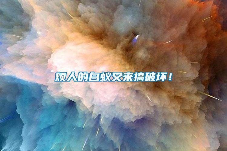 煩人的白蟻又來搞破壞！