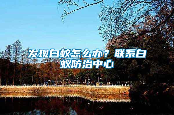 發現白蟻怎么辦？聯系白蟻防治中心