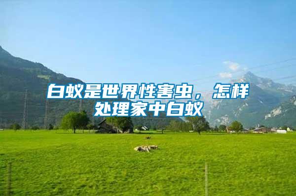 白蟻是世界性害蟲(chóng)，怎樣處理家中白蟻