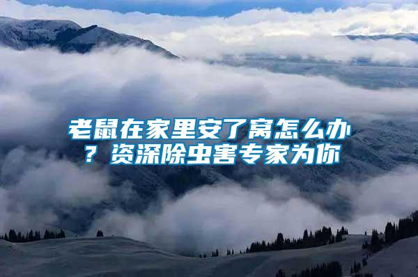 老鼠在家里安了窩怎么辦？資深除蟲害專家為你
