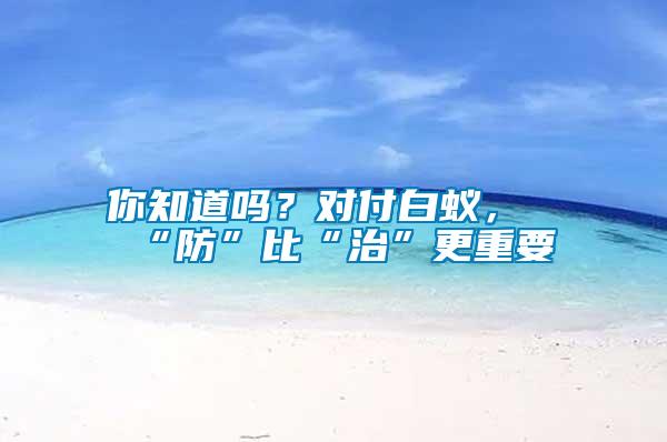 你知道嗎？對(duì)付白蟻，“防”比“治”更重要