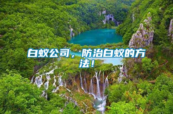 白蟻公司，防治白蟻的方法！