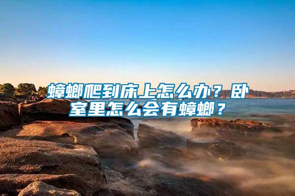 蟑螂爬到床上怎么辦？臥室里怎么會有蟑螂？