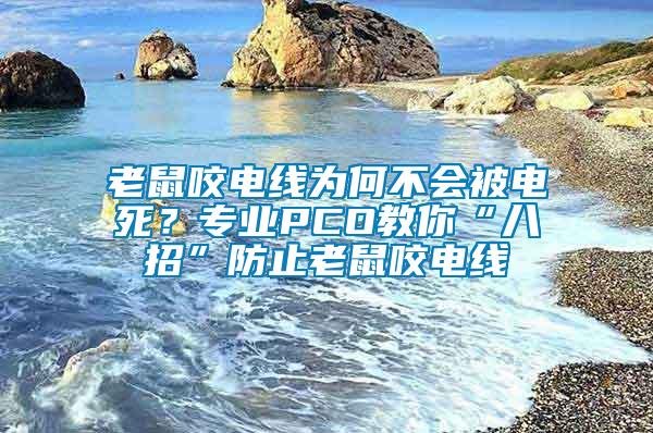 老鼠咬電線為何不會被電死？專業PCO教你“八招”防止老鼠咬電線