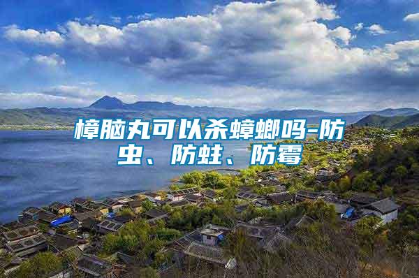 樟腦丸可以殺蟑螂嗎-防蟲、防蛀、防霉