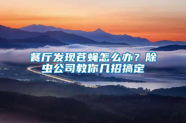 餐廳發(fā)現(xiàn)蒼蠅怎么辦？除蟲公司教你幾招搞定