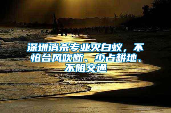 深圳消殺專業(yè)滅白蟻，不怕臺(tái)風(fēng)吹斷、少占耕地、不阻交通