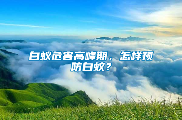 白蟻危害高峰期，怎樣預防白蟻？