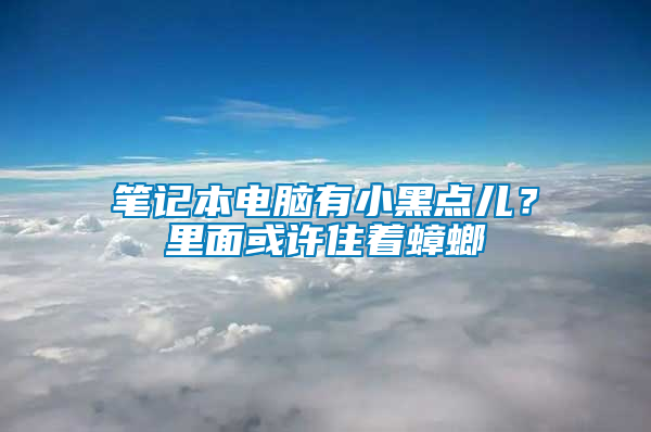 筆記本電腦有小黑點(diǎn)兒？里面或許住著蟑螂
