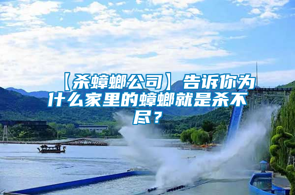 【殺蟑螂公司】告訴你為什么家里的蟑螂就是殺不盡？