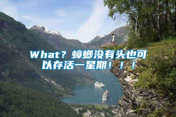 What？蟑螂沒(méi)有頭也可以存活一星期！！！