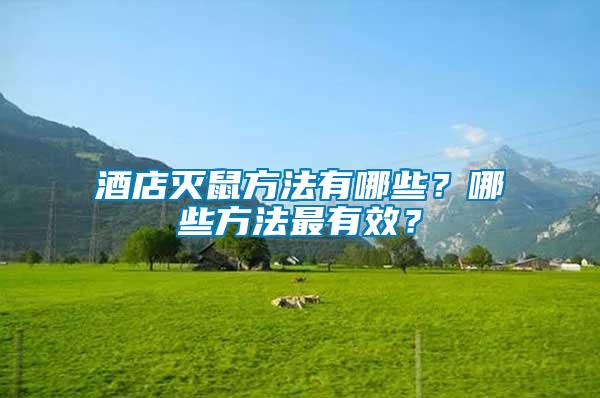 酒店滅鼠方法有哪些？哪些方法最有效？
