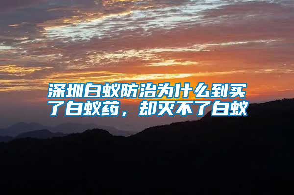 深圳白蟻防治為什么到買了白蟻藥，卻滅不了白蟻