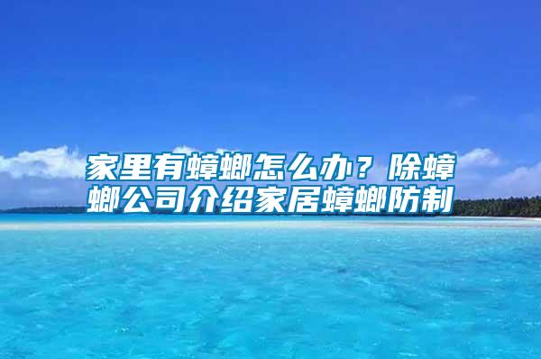 家里有蟑螂怎么辦？除蟑螂公司介紹家居蟑螂防制