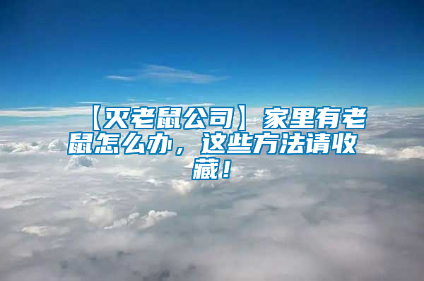 【滅老鼠公司】家里有老鼠怎么辦，這些方法請收藏！