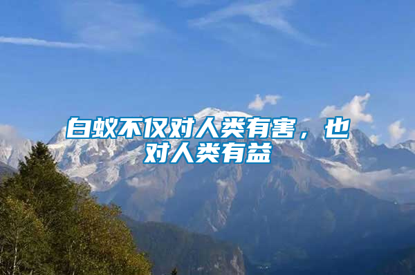 白蟻不僅對(duì)人類有害，也對(duì)人類有益