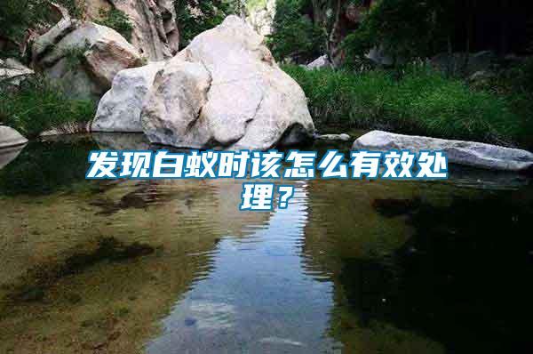 發現白蟻時該怎么有效處理？