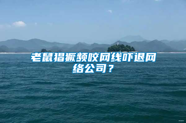 老鼠猖獗頻咬網(wǎng)線嚇退網(wǎng)絡(luò)公司？
