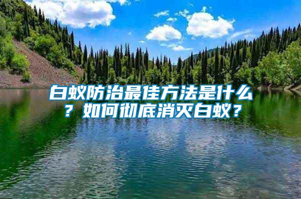 白蟻防治最佳方法是什么？如何徹底消滅白蟻？