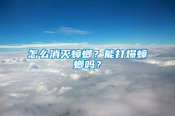 怎么消滅蟑螂？能打爆蟑螂嗎？