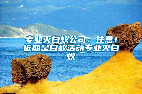 專業(yè)滅白蟻公司：注意！近期是白蟻活動專業(yè)滅白蟻